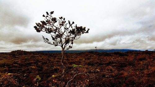 Scenic view of field against cloudy sky