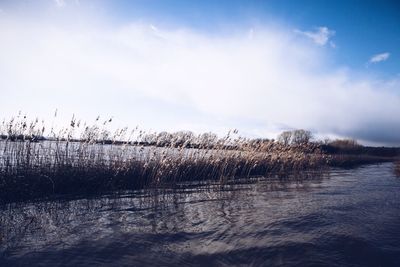 Scenic view of lake against sky