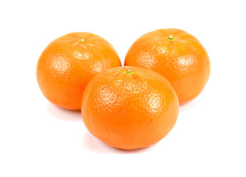 Close-up of orange eggs against white background