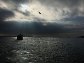 Silhouette of birds flying over sea against sky