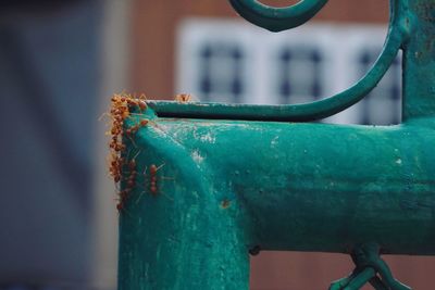 Close-up of rusty pipe