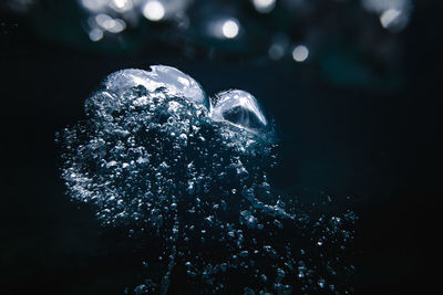 Close-up of bubbles over sea against black background