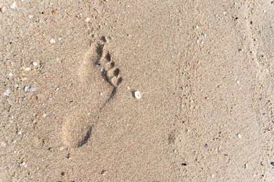 High angle view of footprints on sand