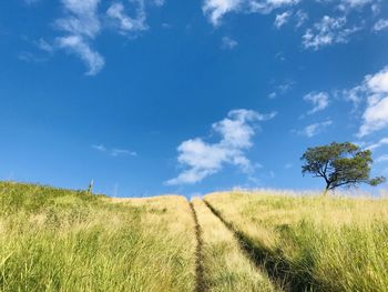 Scenic view of field against sky