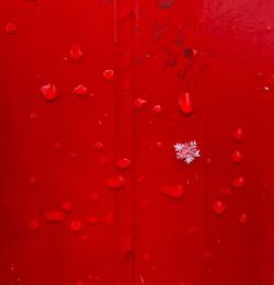 Full frame shot of water drops on red wall