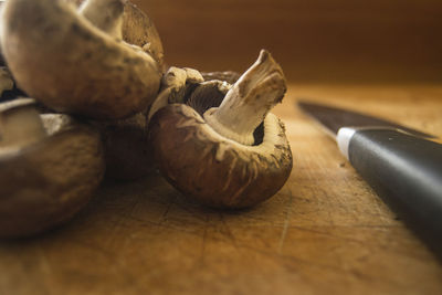 Close-up of edible mushrooms and knife on cutting board