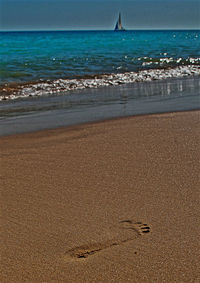 Scenic view of beach