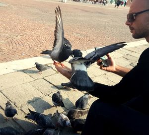 Low angle view of man flying seagull