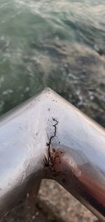 Close-up of hand on water at beach