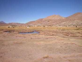 Scenic view of mountains against blue sky