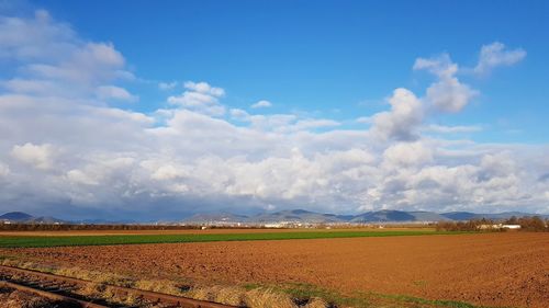 Scenic view of agricultural field against sky