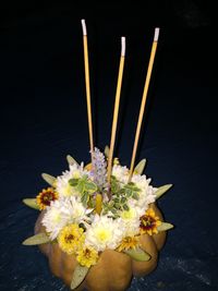Close-up of yellow flower on plant