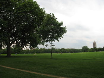 Trees on grass against sky