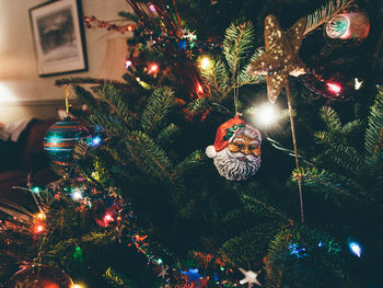 Illuminated christmas tree at night