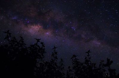 Low angle view of starry sky