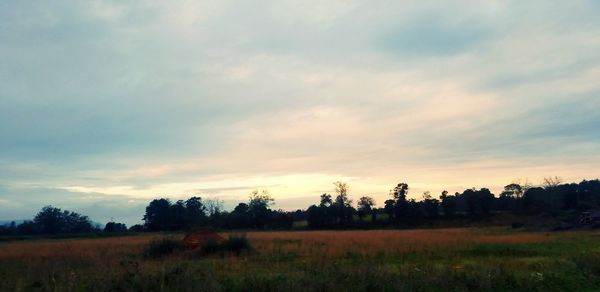 Scenic view of field against sky during sunset