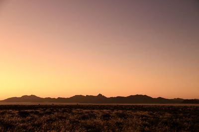 Scenic view of field against clear sky during sunset