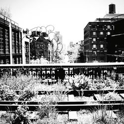 View of plants in city against sky