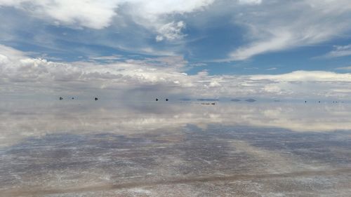 View of birds flying in sky