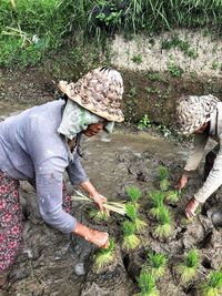 High angle view of woman working on field