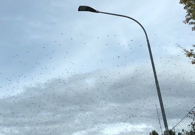 Low angle view of wet street light against sky