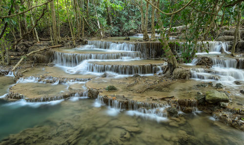 Scenic view of waterfall in forest