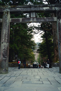 People sitting on footpath by trees