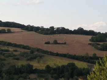 Scenic view of landscape against sky