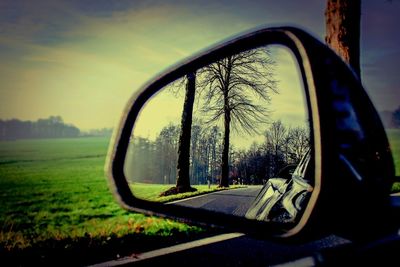 Reflection of trees on side-view mirror