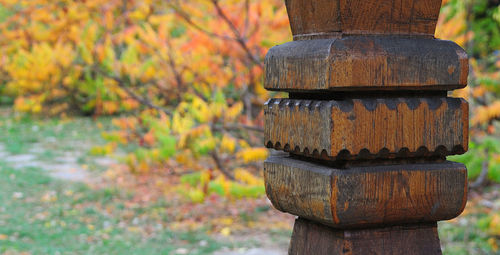 Close-up of wooden post on field during autumn