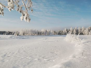 Snow covered landscape against sky