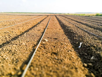 Surface level of agricultural field against sky