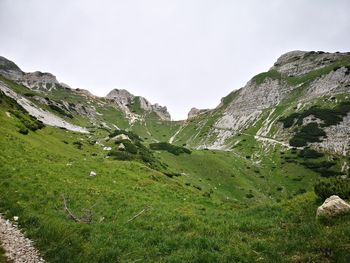 Scenic view of landscape against clear sky