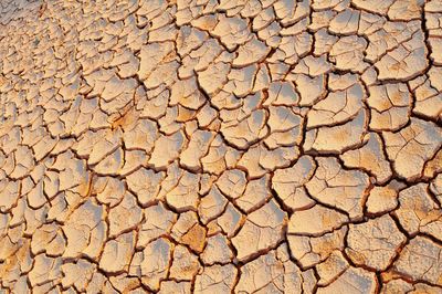 Full frame shot of cracked land