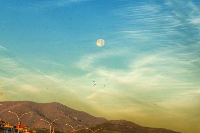 Low angle view of hot air balloons