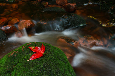 Scenic view of waterfall on rocks