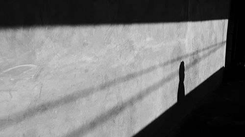 High angle view of shadow on wall