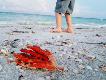 Low section of child walking barefoot on pebbly beach