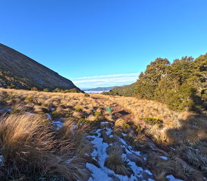 wilderness