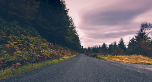 Road amidst trees against sky