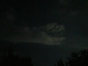 Low angle view of silhouette trees against sky at night