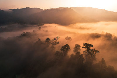 Scenic view of sunset