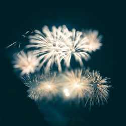 Low angle view of firework display at night