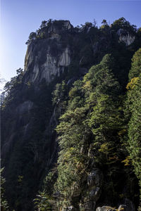 Low angle view of rock formation amidst trees against sky