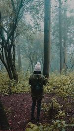 Rear view of man walking in forest