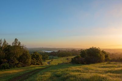 Arastradero preserve, morning in silicon valley