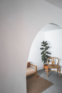 Potted plant on table against wall at home