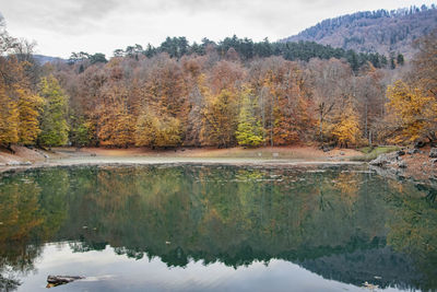 Scenic view of lake by trees against sky