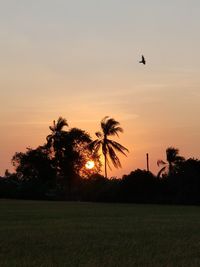 Silhouette birds on landscape against sky at sunset