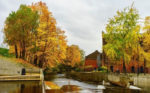 Trees by river against sky during autumn